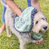 Pets Club Microfibre Towel by Vigar