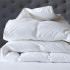 600 GSM Deluxe High Loft Microfiber Duvet Inner With Cotton Cover by Renee Taylor