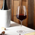 Experience Red Wine 450ml (6 Pk) by Stolzle