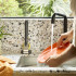 Sinktech Sponge 2Pc Replacement Heads by Joseph Joseph