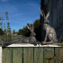 Shadow Country Hare - Resting Grey by Linen & More - 46.5X44X32cm