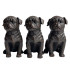 Set of 3 Pug Pot Holder Aged 9x6x12cm each by Linen & More