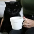 Bucket Mug - Cat Lover By Keith Brymer Jones