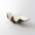 Natural Resin Clam Shell by Le Forge