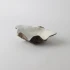 Natural Resin Clam Shell by Le Forge