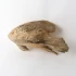 Natural Resin Fish Matakana by Le Forge