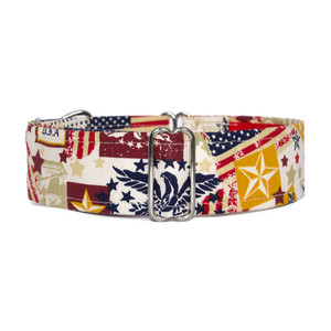 Martingale Collar [Old Glory]