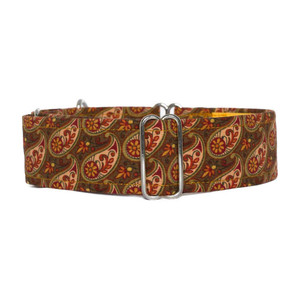 Martingale Collar [Paisley Gold]