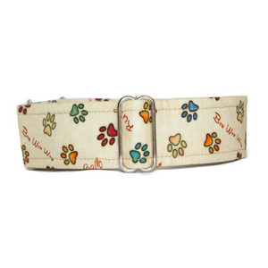 Martingale Collar [Bow Wow Wow]