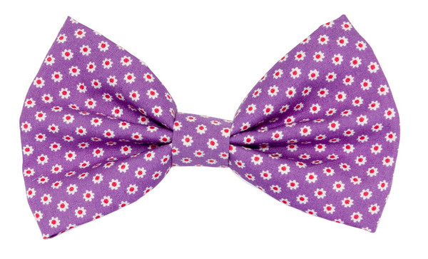 Bow Tie [Daisy Lilac]