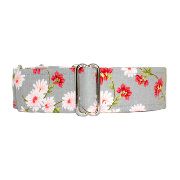 Martingale Collar [Savannah]