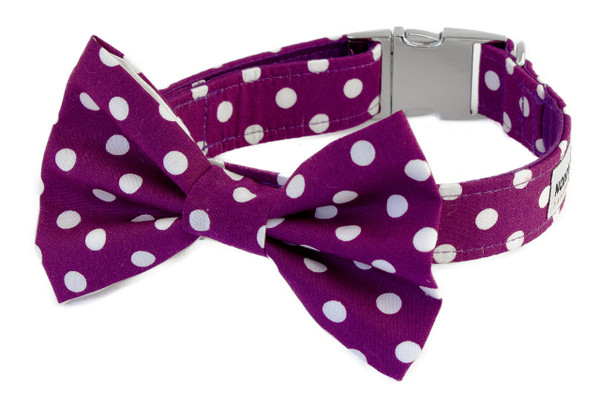 Clasp Collar with Bow Tie [Deep Purple Polka Dots]