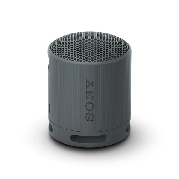 Sony SRS-XB100 Portable Wireless Bluetooth Speaker, Black