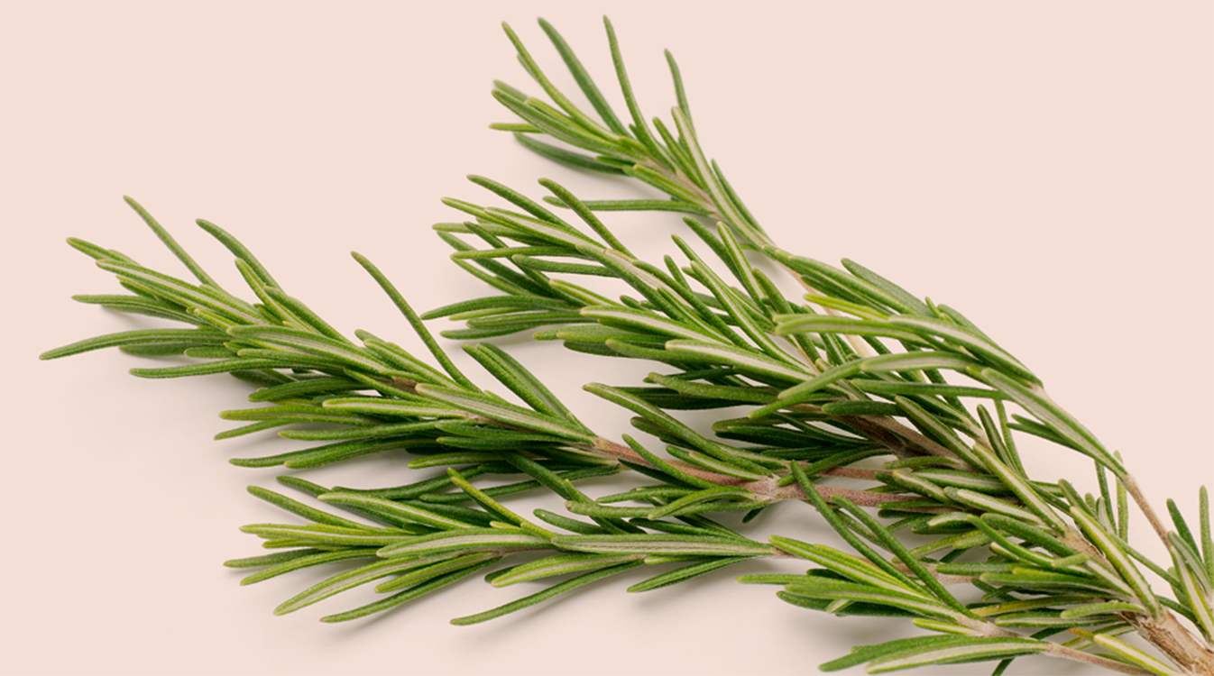 Five Flavors Herbs - Integrating Traditions for Wellness