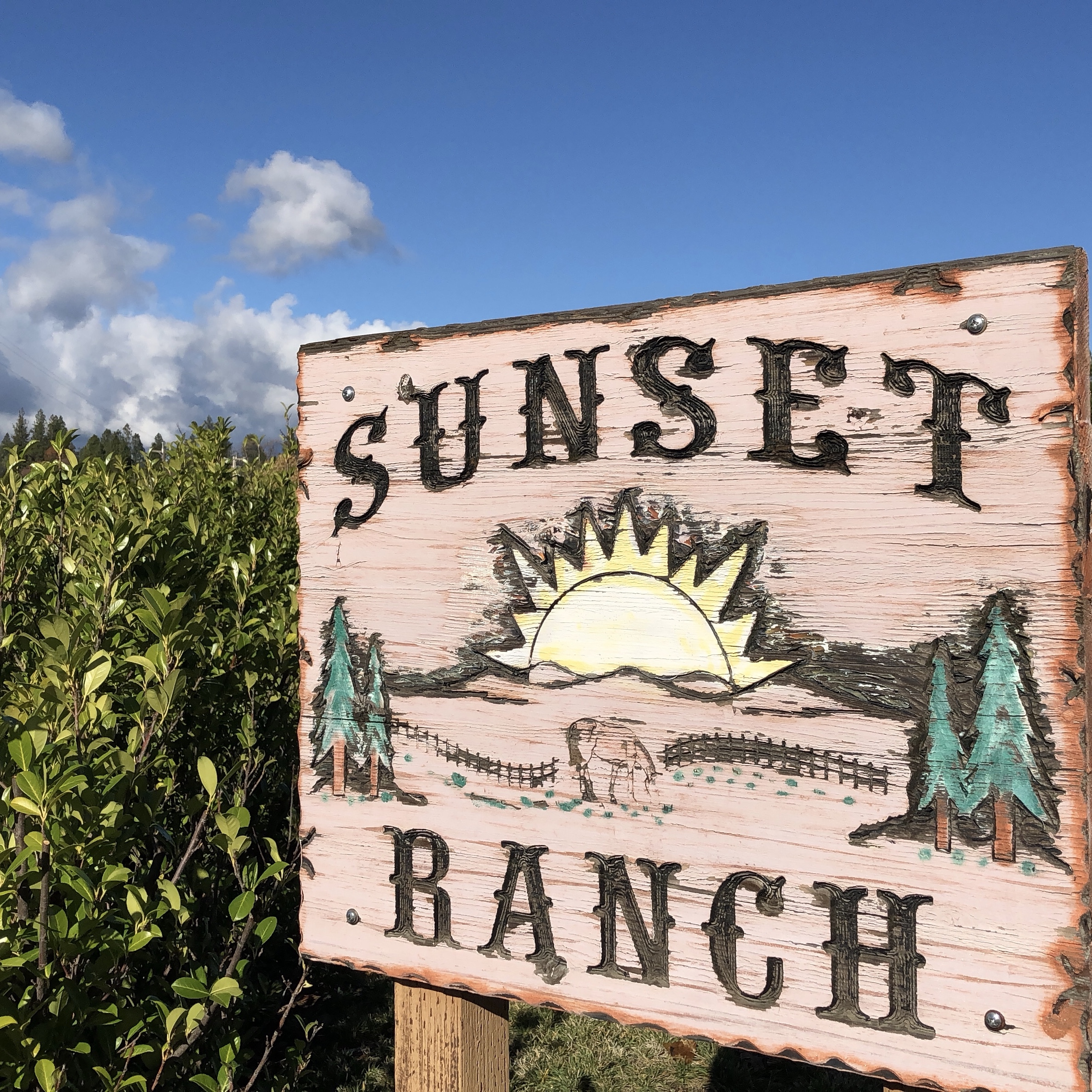 Sunset Ranch Pa Sunset Ranch: Our Family Farm - Five Flavors Herbs