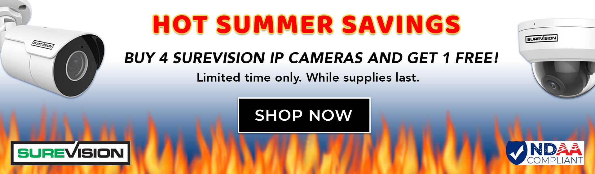 SECURITY CAMERA SAVINGS