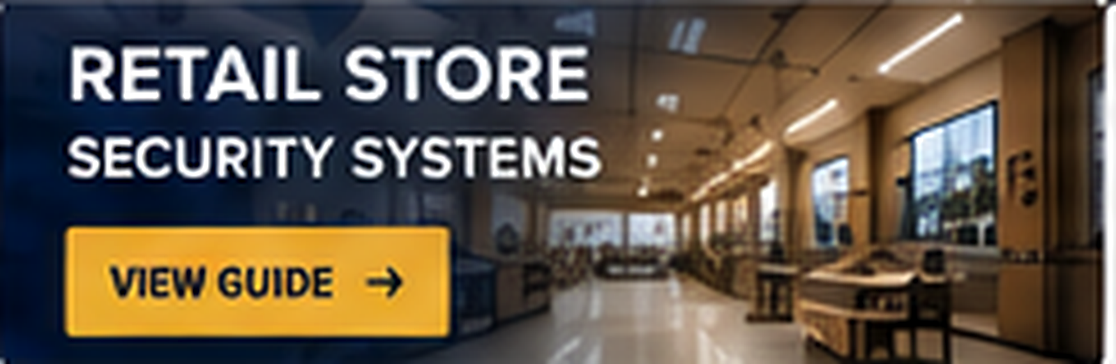 Retail Store Security Camera Systems