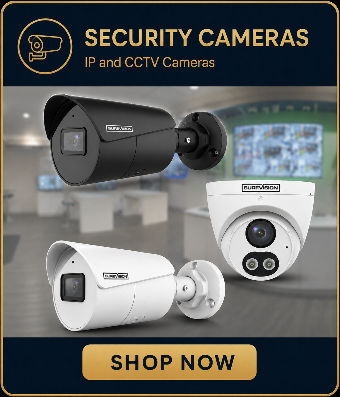 Security Cameras - IP and CCTV Cameras