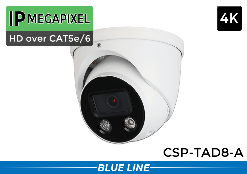 IP Dome Security Camera with Built in Microphone