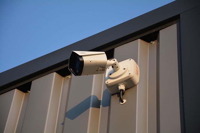 Outdoor security camera system