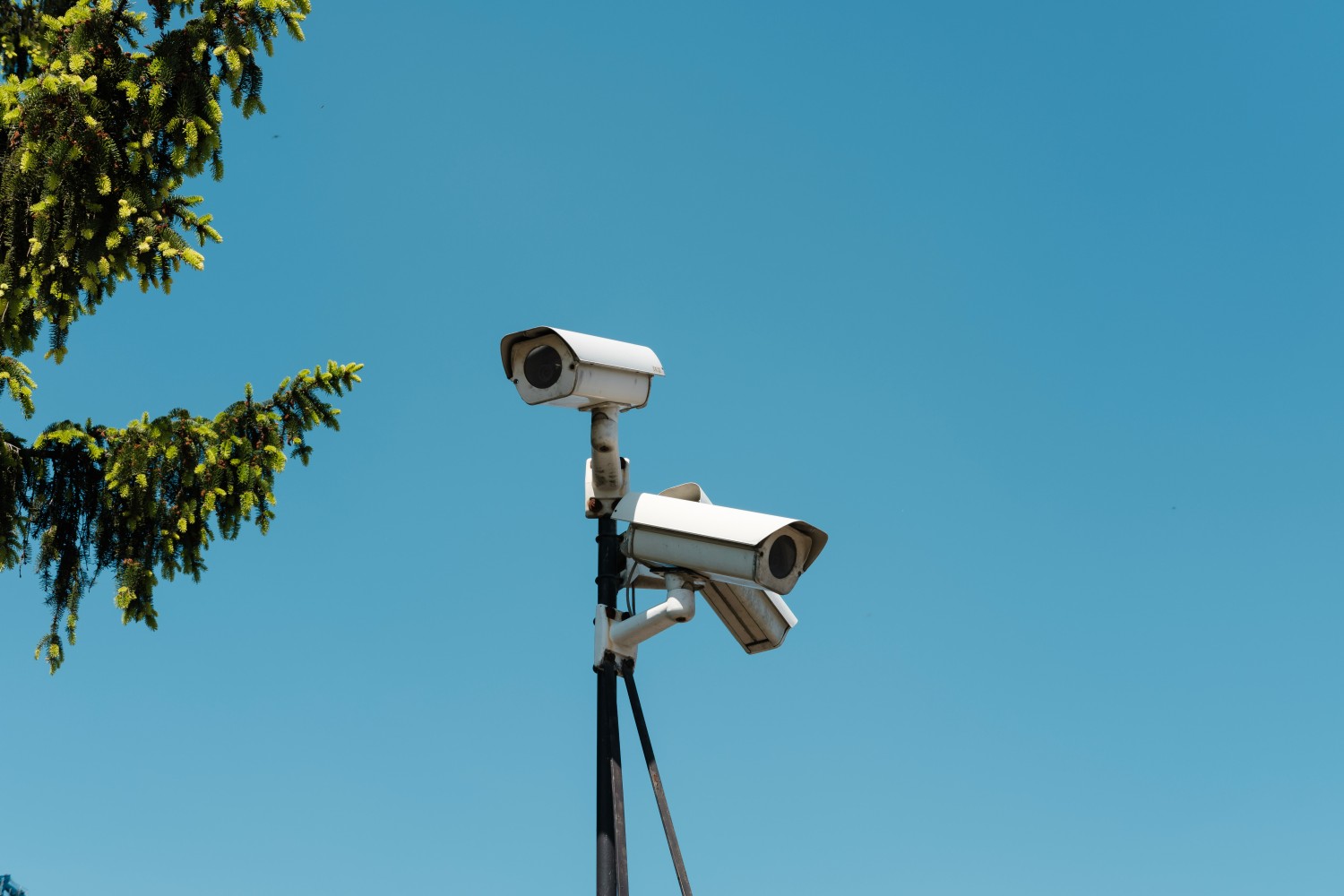 Security cameras on a pole