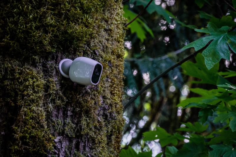 white dummy security camera on a tree trunk