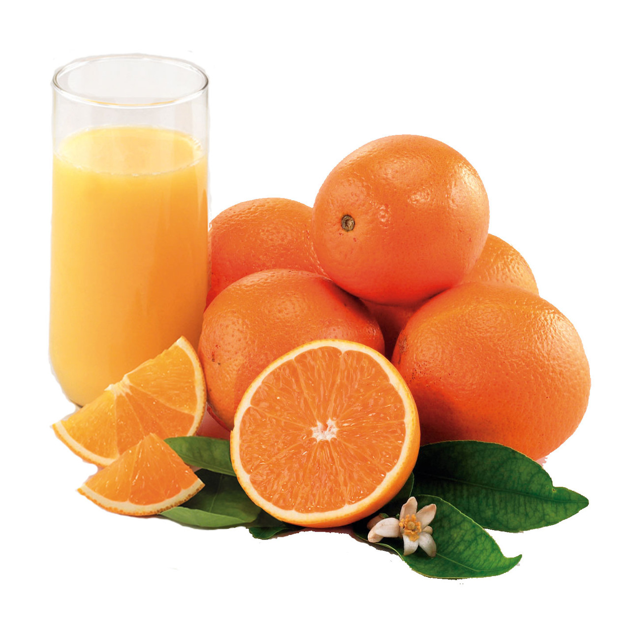 Valencia Oranges Information and Facts