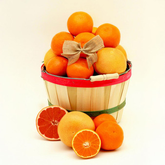 Valencias - Jennings Citrus