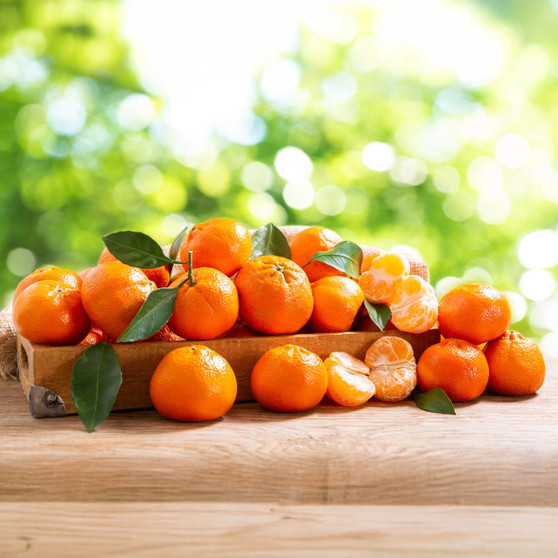 Honey Tangerines