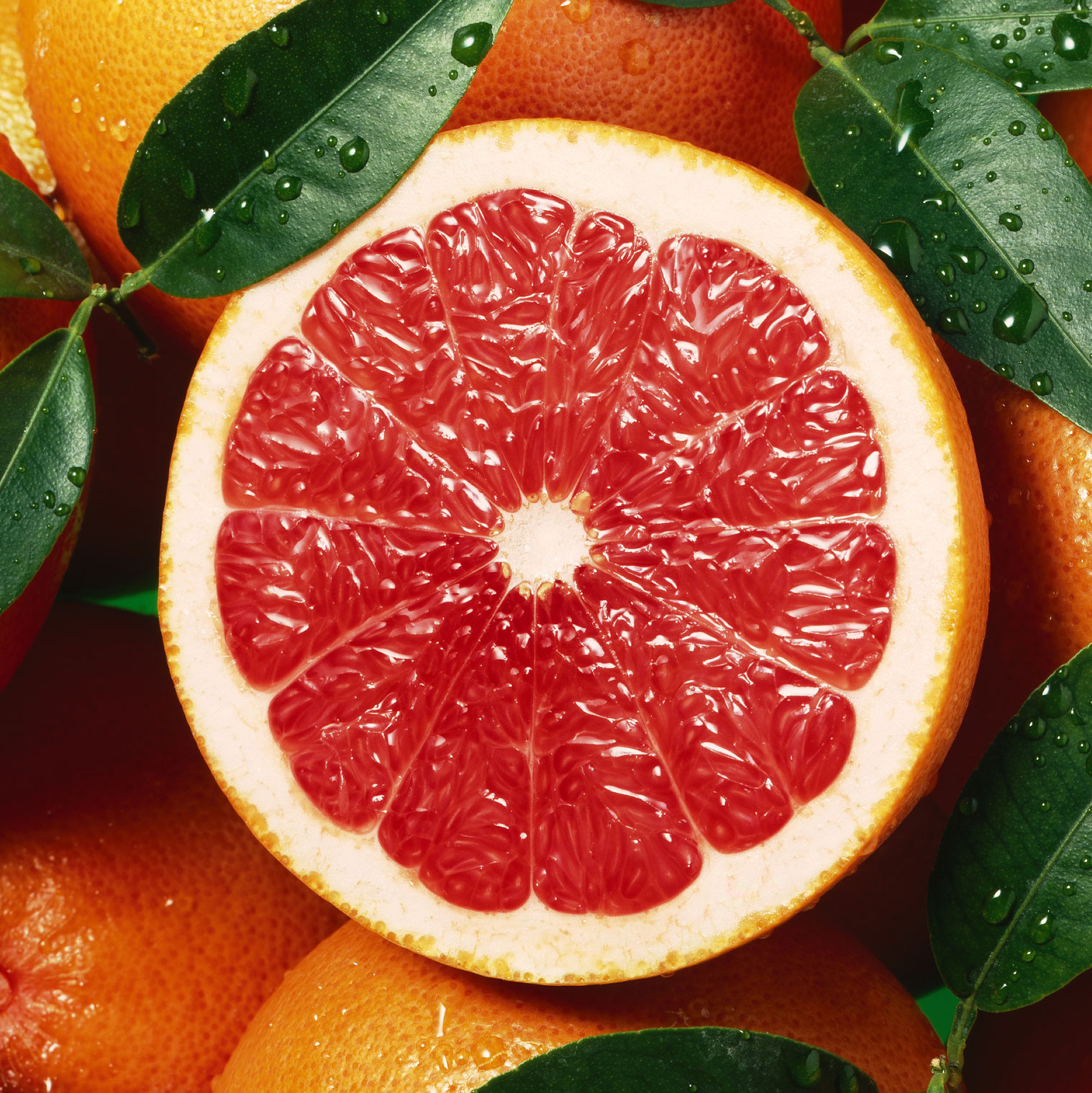 Citrus Calendar