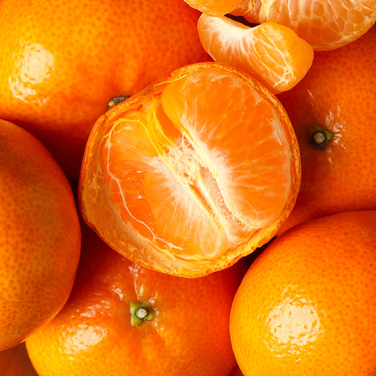Citrus Calendar