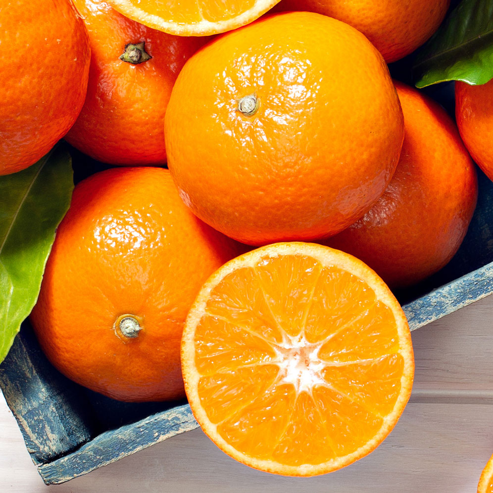 Citrus Calendar