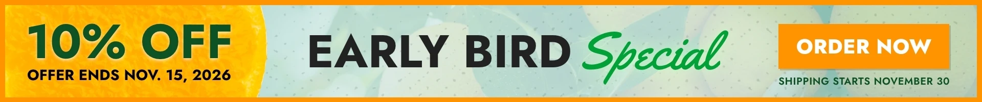 10% Off Storewide Sale
