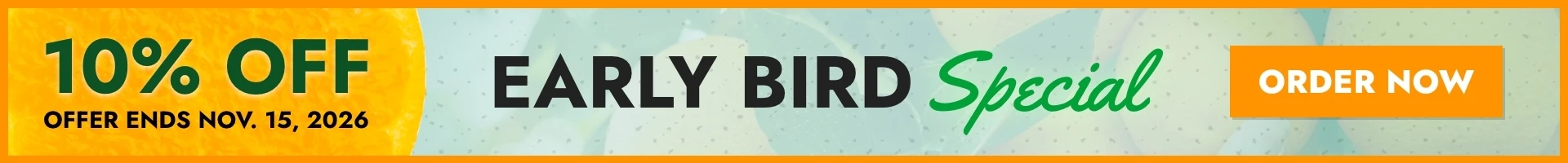 10% Off Storewide Sale