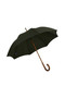 Gents Hickory Solid Stick Ince Umbrellas - Classic Colours