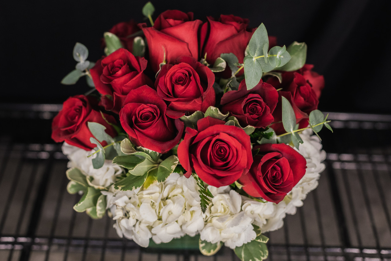 Image of Bouquet of red roses and white hydrangeas