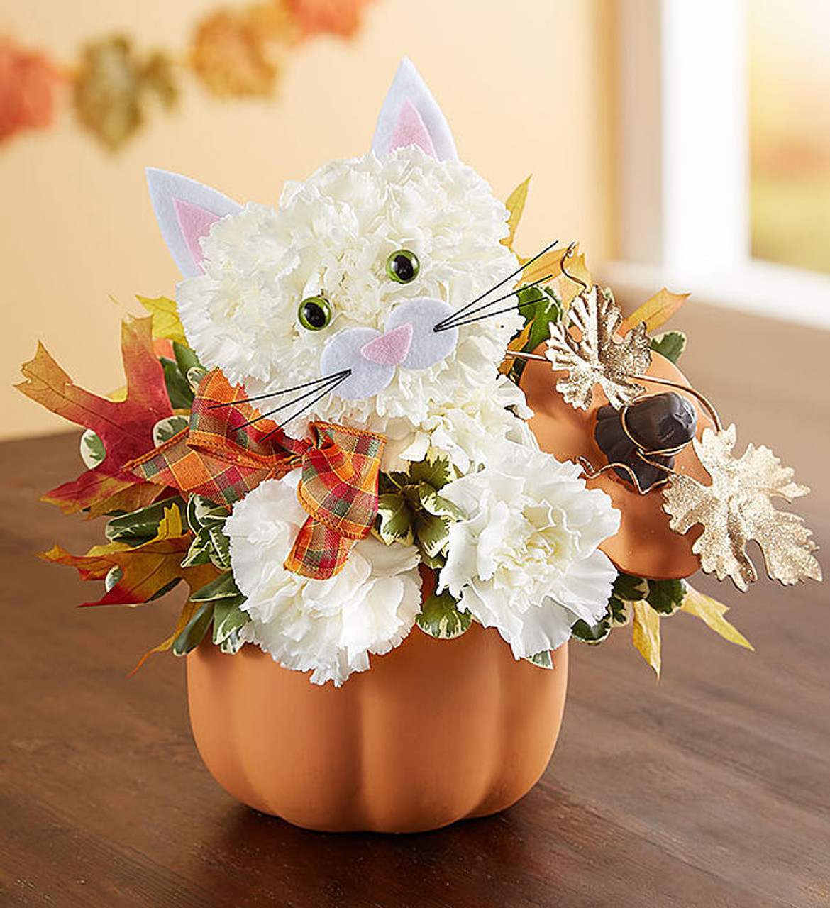 Fabulous Feline For Fall Conroy S Flowers
