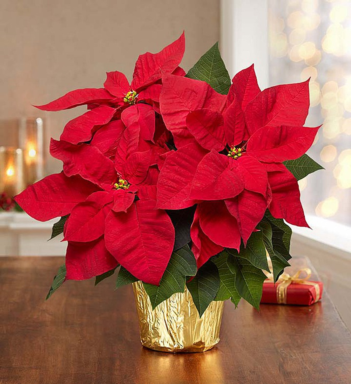 Premier Silk Poinsettia Large Christmas Centerpieces Beautiful Christmas Christmas Floral