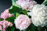 The Best Flower Delivery in Chatsworth