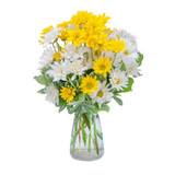 Heat-Friendly Summer Flowers for Simi Valley, CA Delivery