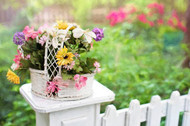 5 Low Maintenance Flowers That Can Be Taken Care Of With Little Effort