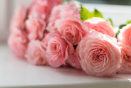 5 Tips for Choosing the Perfect Flower Delivery in Northridge, CA