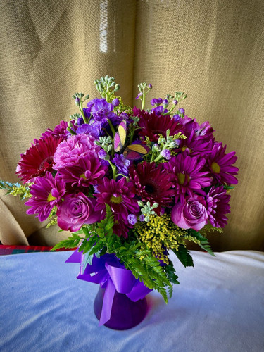 Pleased Purples! Pleased Purples!