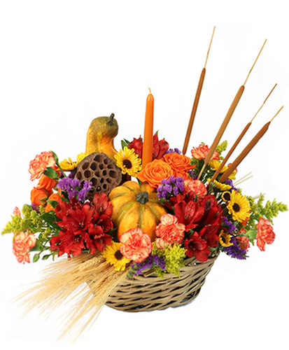 Gourd-eous Blooms Gourd-eous Blooms