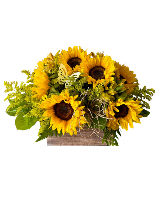 Sunflowers Birch Box