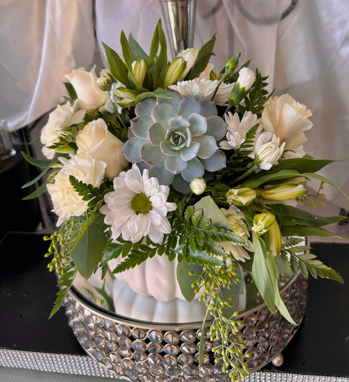 Succulent Harvest Bloom