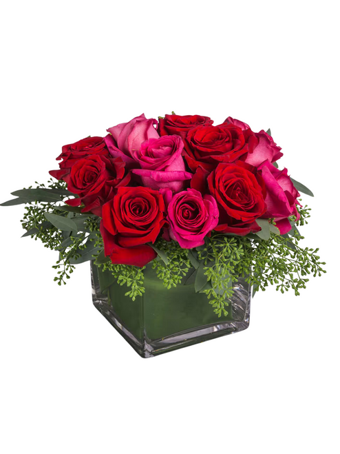 XO Rose Mix -Fuchsia & Red Rose Blend