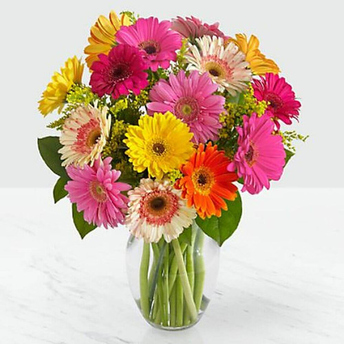 Approximately 16"H x 12"W
A clear glass vase is included
Free personalized gift message
STEMS
Daisy
Gerbera Daisy