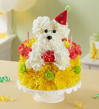 Birthday Wishes Flower Cake Pupcake Conroys Flowers