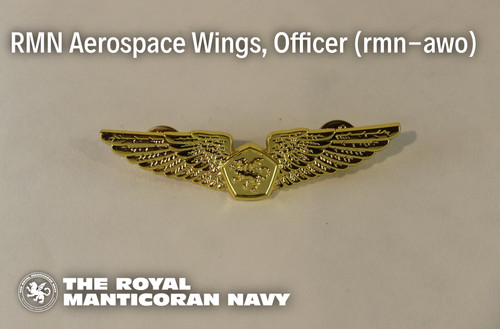 RMN Aerospace Wings, Officer RMN Aerospace Wings, Officer